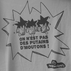 Les Potamochères